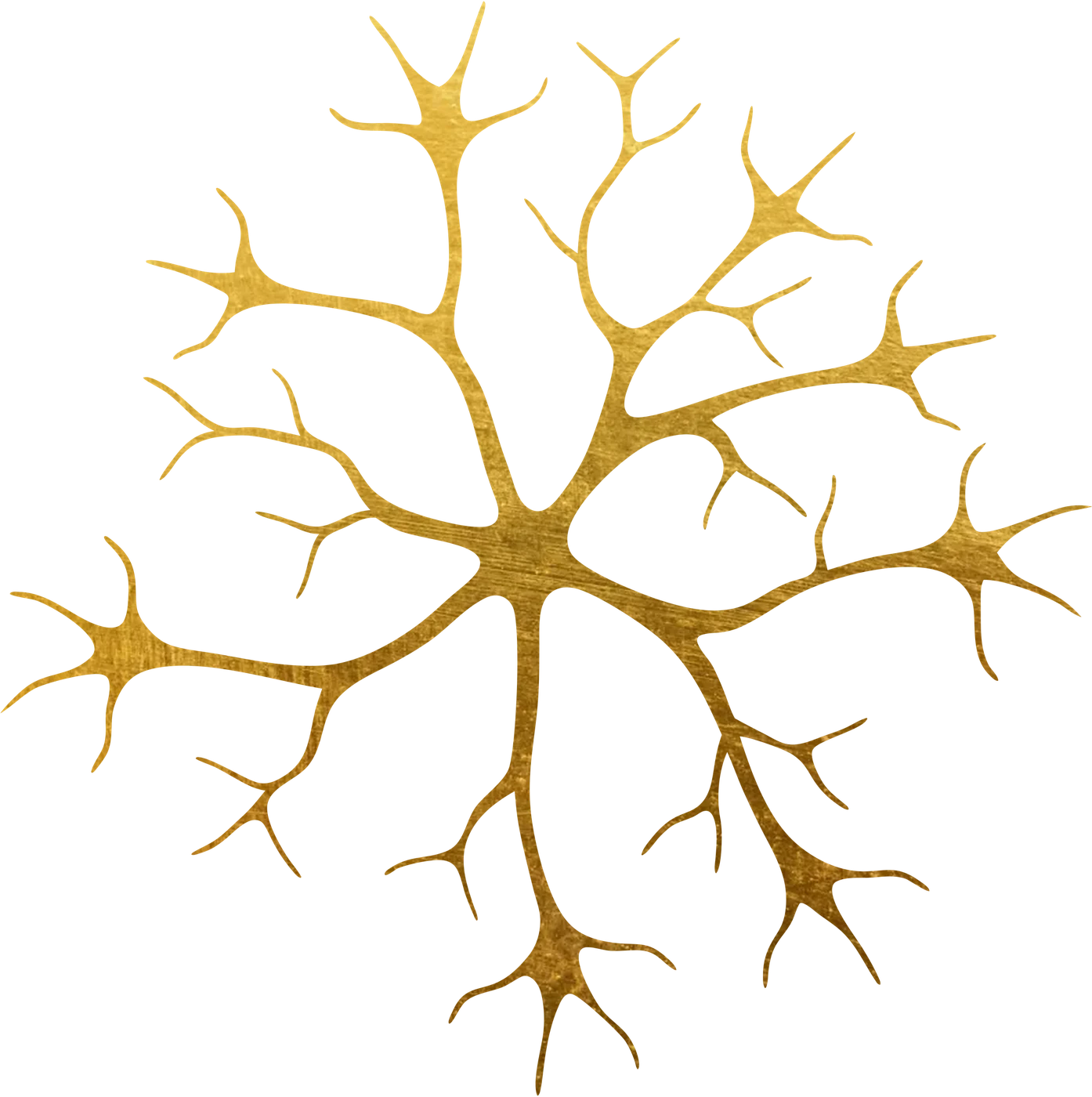 Astrocyte cell illustration