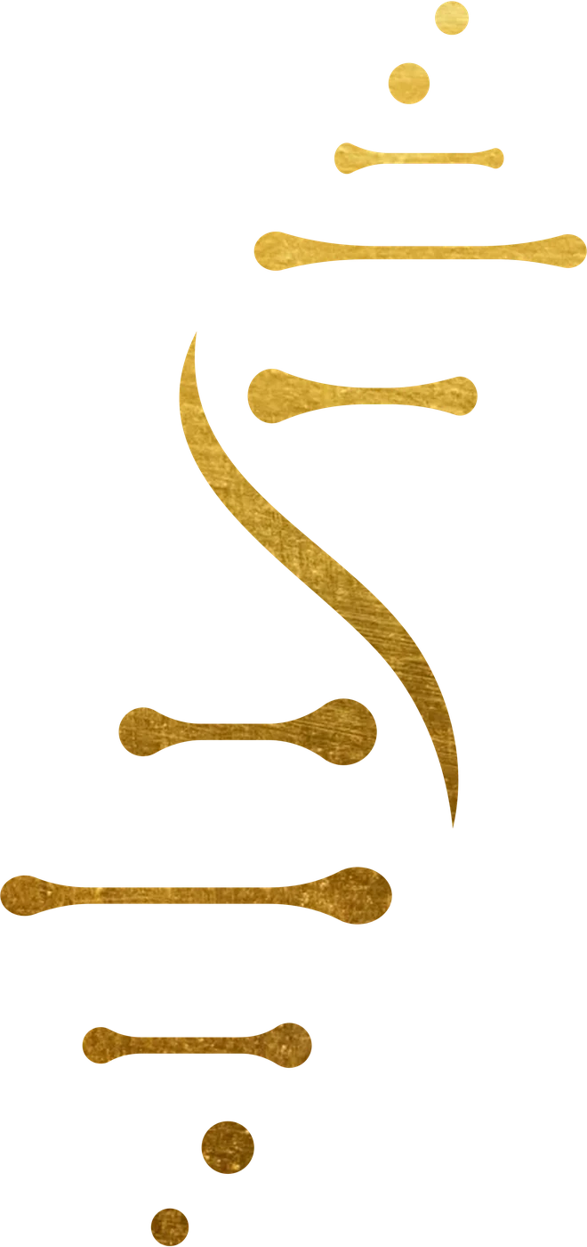 DNA helix strand illustration
