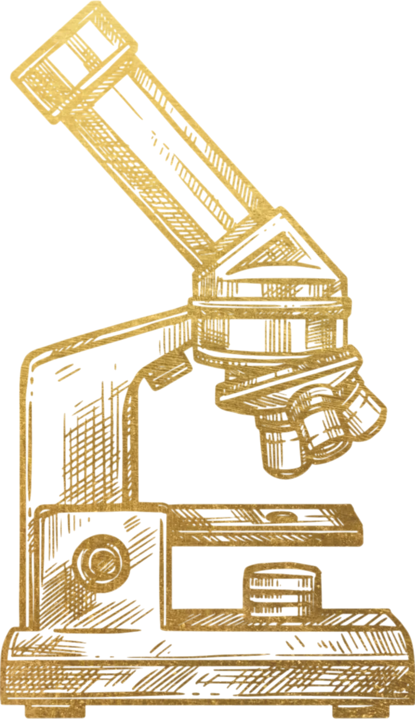 Microscope illustration