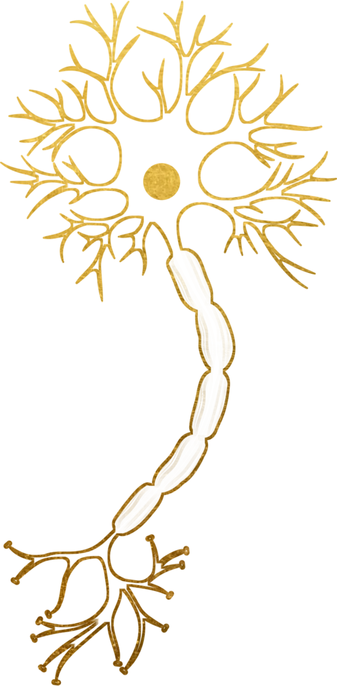 Neuron illustration