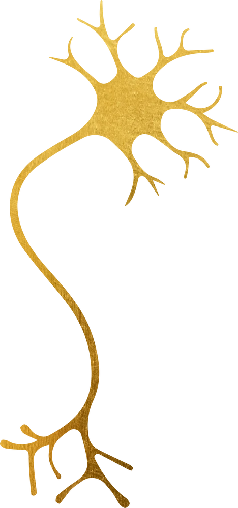 Illustration of a neuron