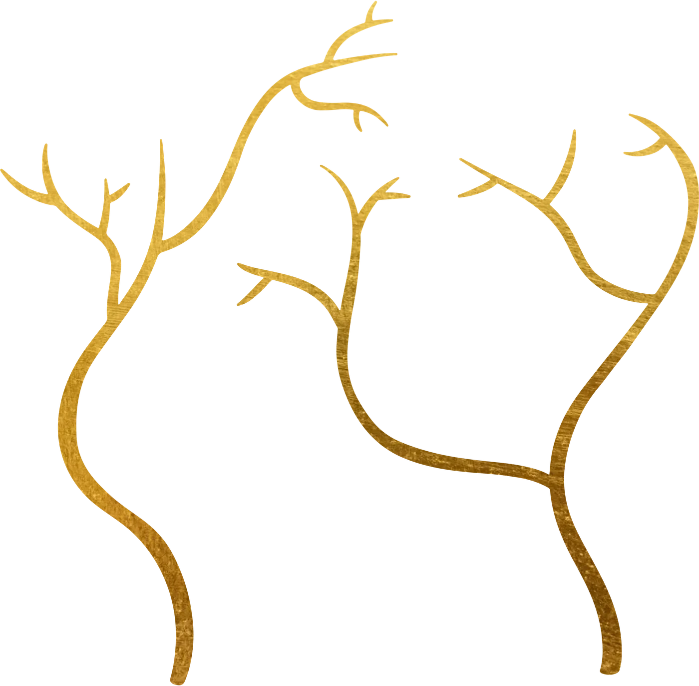 Branching vessels illustration